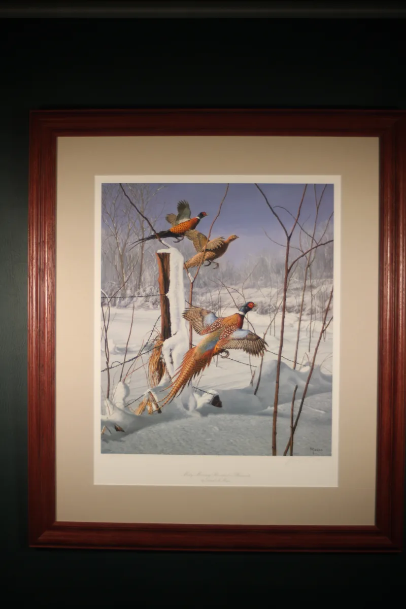 Framed David A. Maass limited-edition print Misty Morning Revisited — Pheasants, depicting three ring-necked pheasants in flight over a snowy winter landscape.